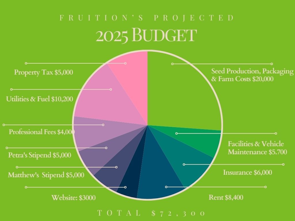 Fruitions 25 Projected Budget Pie Chart Graph 2.9.25