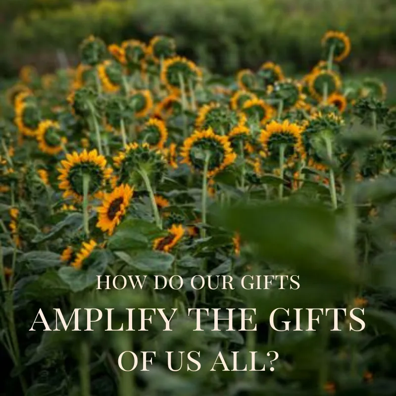 amplify gifts