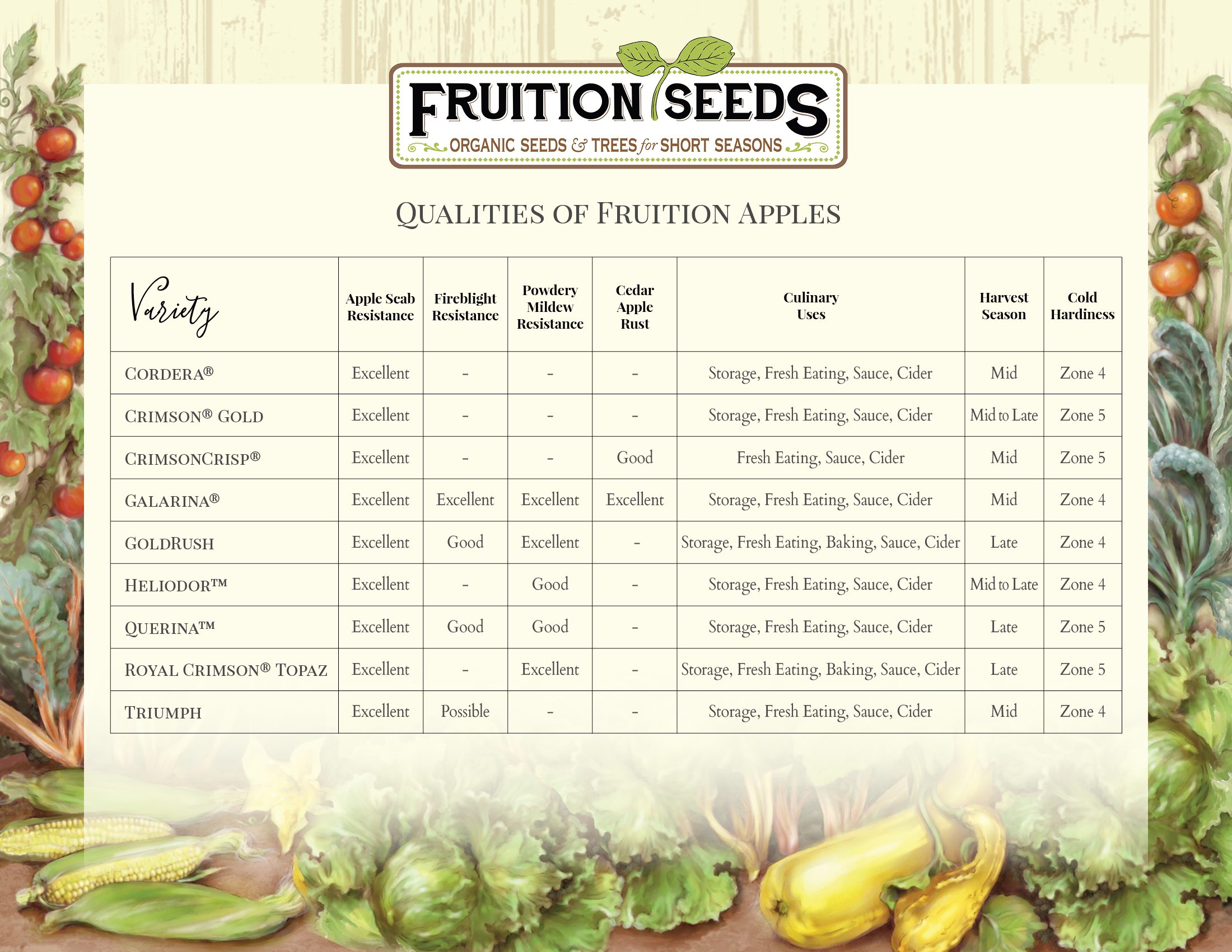 Organic Cordera® Semi-Dwarf Apple Tree - Fruition Seeds