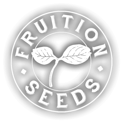 Organic Thyme - Fruition Seeds