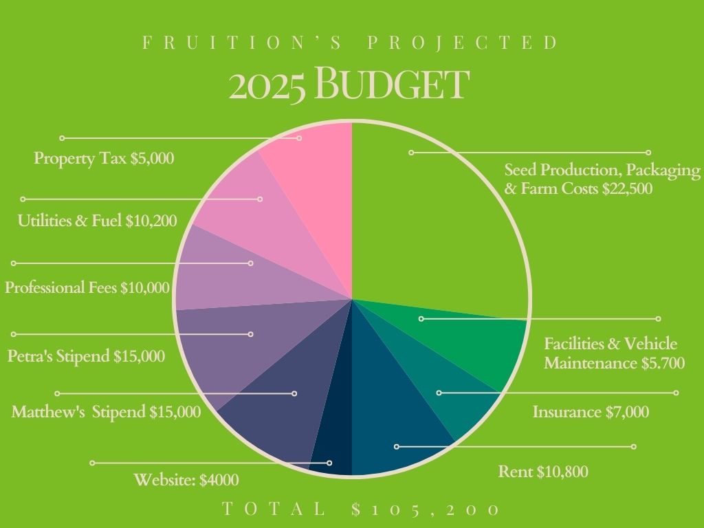Fruitions 25 Projected Budget Pie Chart Graph 1