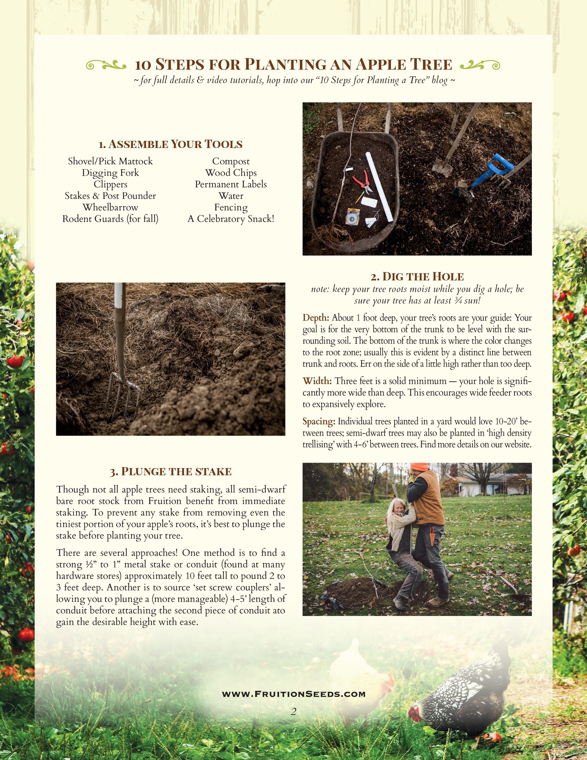 https://www.fruitionseeds.com/wp-content/uploads/Growing-Guide-Apple-Trees-pg2.jpg