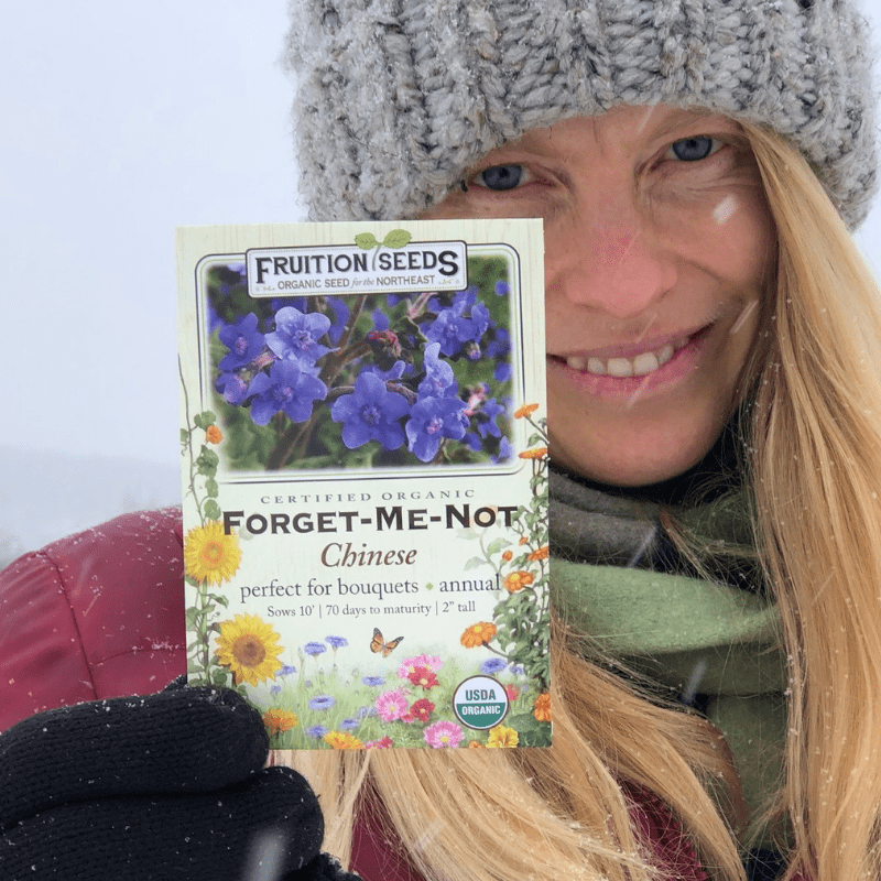 Growing The Beautiful Chinese Forget Me Not - Celtic Roots Farm