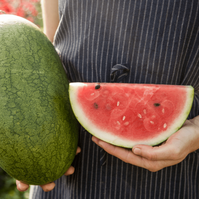 Organic August Ambrosia Watermelon - Fruition Seeds