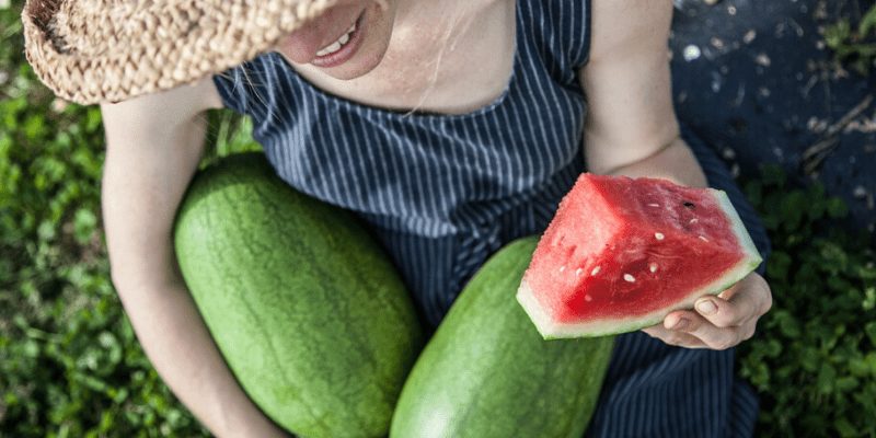 how-to-know-when-a-melon-is-ripe-fruition-seeds